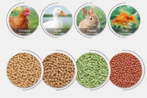 ষাড়ের রেডিমিক্স - Animal Feed at Gorurhaat - Gorurhaat