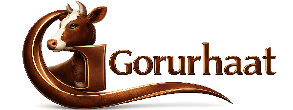 Gorurhaat